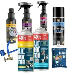 Frühlingserwachen für Ihr Auto