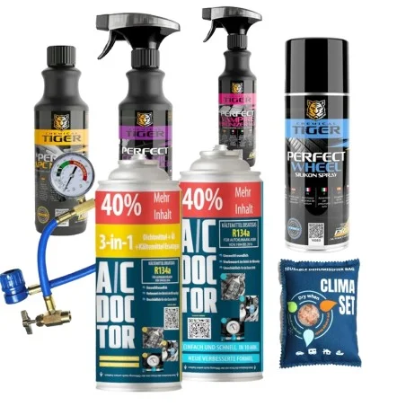 Frühlingserwachen für Ihr Auto